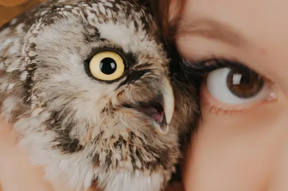 Kaszinó B Bets Támogatás